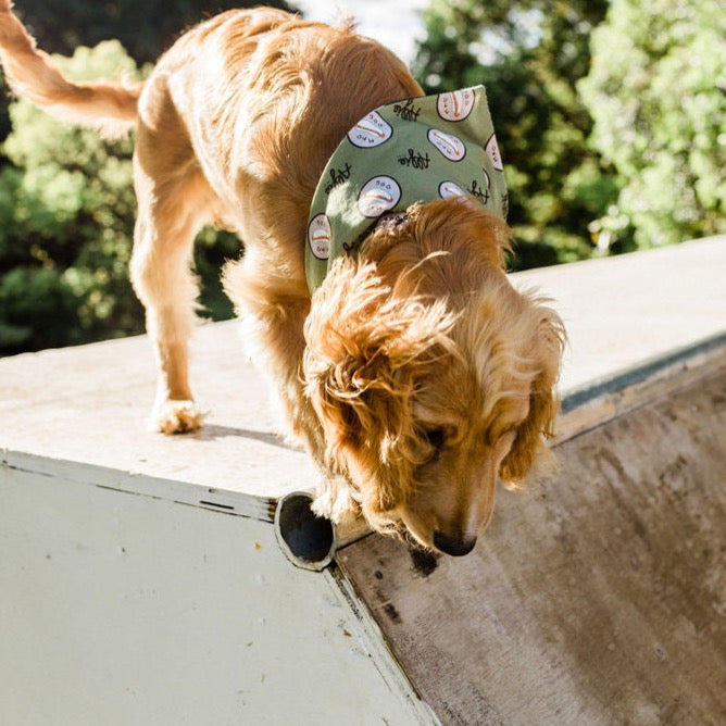 Alfie Dog Bandana